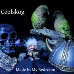 Ceolskog : Made in My Bedroom